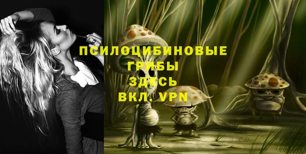 ALPHA PVP Алексеевка