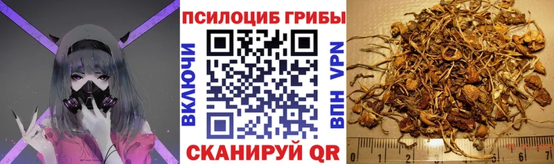 Галлюциногенные грибы Psilocybine cubensis  Отрадная 